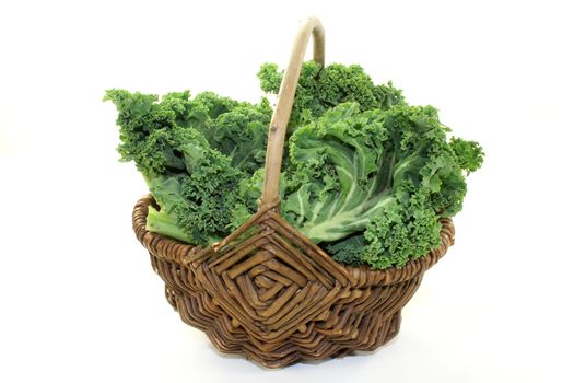 fresh green kale on a white background