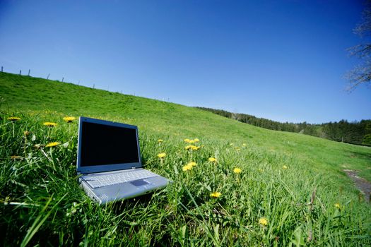 field work laptop outside in the meadow
