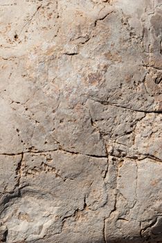 Surface of Textured stone background