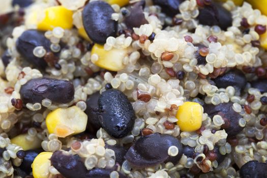 Close up of cooked mixed quinoa grains with black beans and corn.