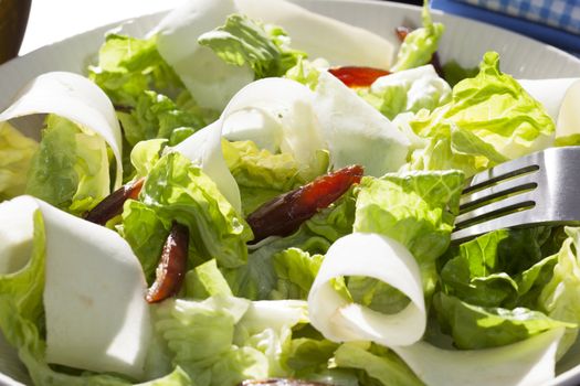 Fresh salad with lettuce, dates and parsnips, or jicama