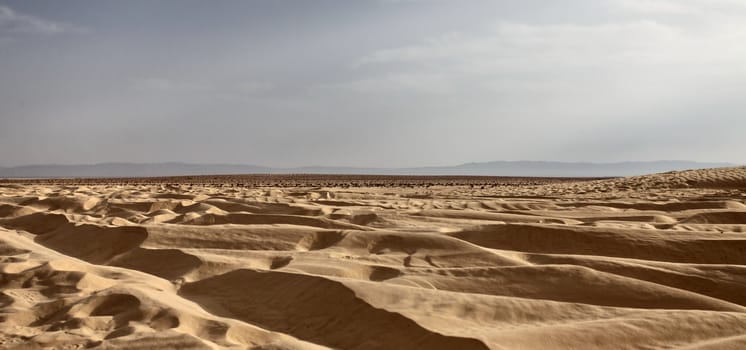 view of the Sahara desert before sunset