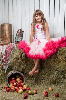 Portrait of barefooted funny little blond girl villager dressed luxuriant wavy ball dress with frill sitting on haystack near inverted pail with apples in wooden vintage hayloft