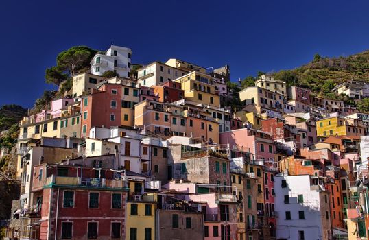 traditional buildings in Riomaggiore, Cinque Terre, Italy 