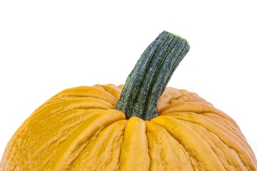 yellow pumpkin isolated on white. autumn symbol for halloween