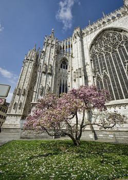 The Dome of Milan, Italy and spring tree with flowers
