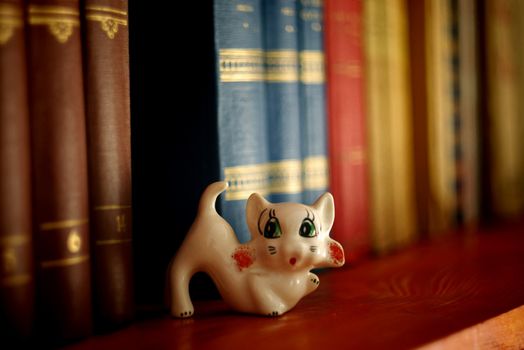 cute cat trinket in library books