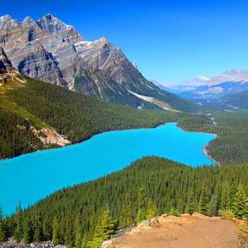 Magnificent blue waters of Peyto Lake of Banff National Park in Canada.