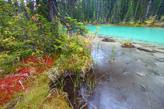 Lovely turquoise colored pond in Yoho National Park of British Columbia.