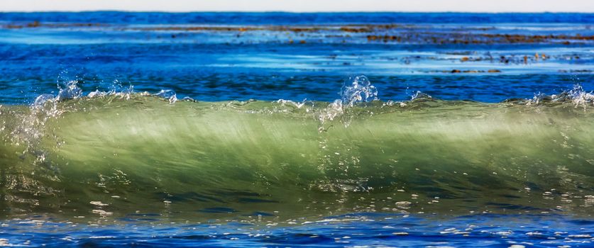 Translucent Ocean Wave at Leo Carillo State Beach in Malibu, California