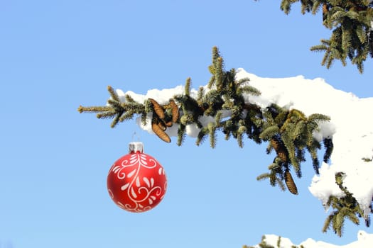 branch of a christmas tree full of snow with red bauble over the sky