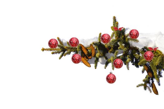 branch of a christmas tree full of snow - decorated with red baubles