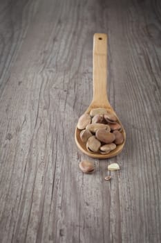 Bunch of fresh raw broad beans on a wooden spoon