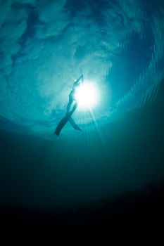 girl ascending from a freedive