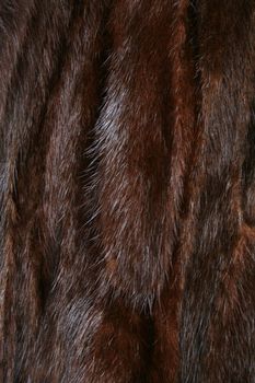 The fur of brown mink as a background 