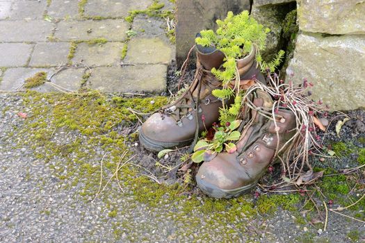 a pair of reuse brown boots flowerpot