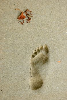 Footstep on a sandy beach and a dead leave