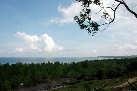 views of the sea and mangrove from the top of the hill