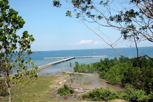 harbor view from the top of the hill with hedge trees frame