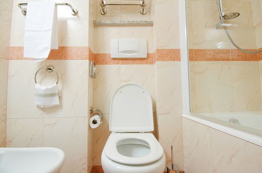 Toilet in the modern bathroom 