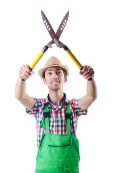 Man gardener with shears on white