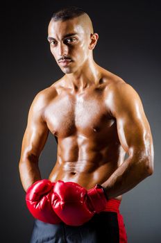 Muscular boxer in studio shooting