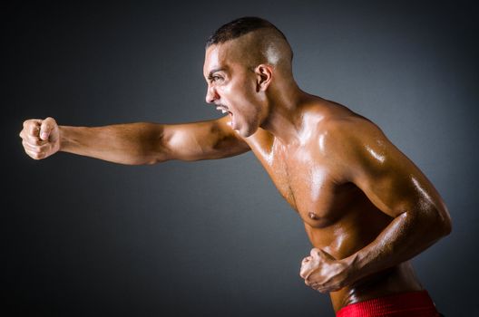 Muscular boxer in dark studio