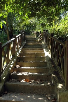 concrete stairs in a park