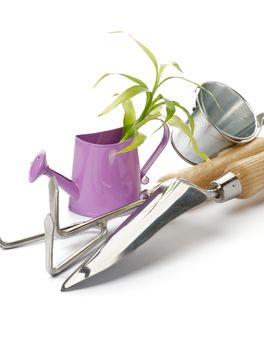 Purple Watering Can with Green Plant, Tin Bucket and Gardening Tools isolated on white background