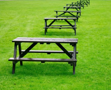 Row of empty picnic tables on a grass