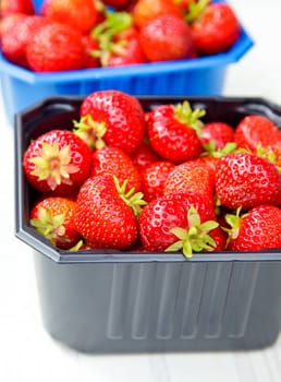 Freshly harvested strawberries at market in Norway