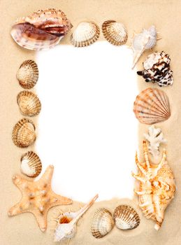 Seashells and starfish on sand picture frame