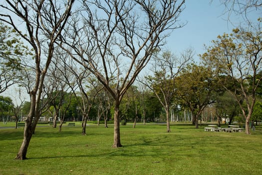 Green park