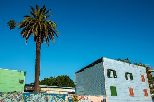Blue building and palm tree in historic La Boca neighborhood in Buenos Aires
