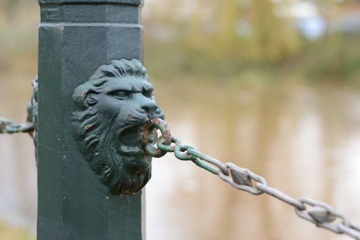 close up of lion chain fence in the park