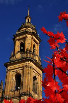 
Spire of cathedral with Christmas decorations in Bogota, Colombia