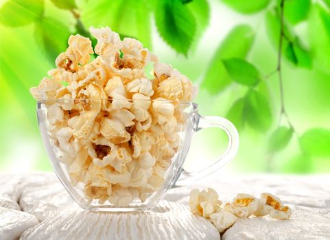 Popcorn in a cup on a background of green foliage