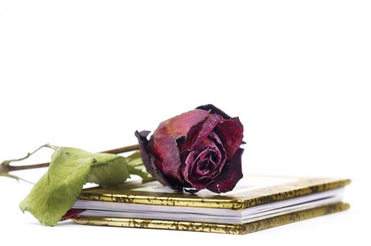 a red faded rose on a book