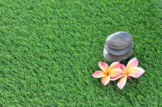Plumeria and stones on the grass