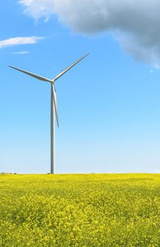 Wind propelled turbine generating electricity