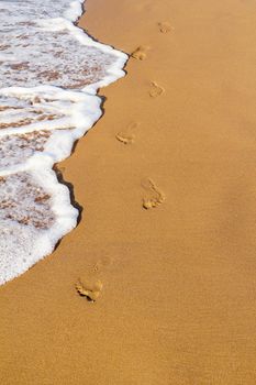 Footsteps on the beach by the sea in summer
