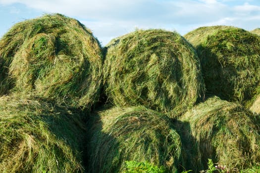 Heap of unwrapped hay bales close-up