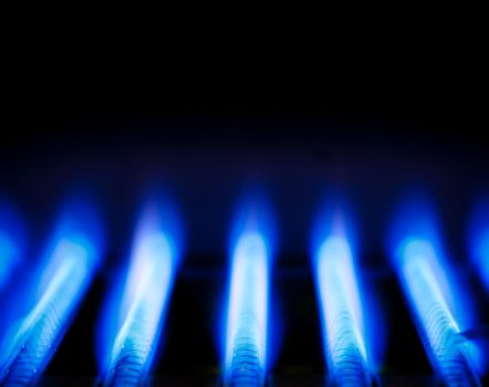 Blue flames of a gas burner inside of a boiler