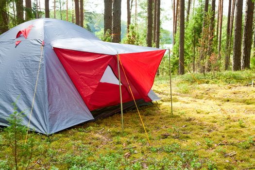 Grey and red camping tent in a sunny forest