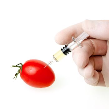 Genetic modification concept with tomato receiving an injection