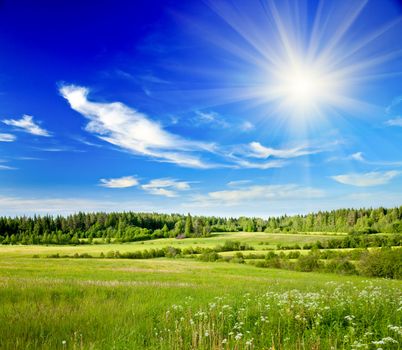 Summer landscape with green forest meadow and blue sky