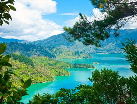 Marlborough Sounds as seen from Queen Charlotte Track