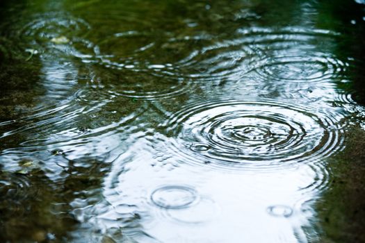 Rain drops rippling in a puddle