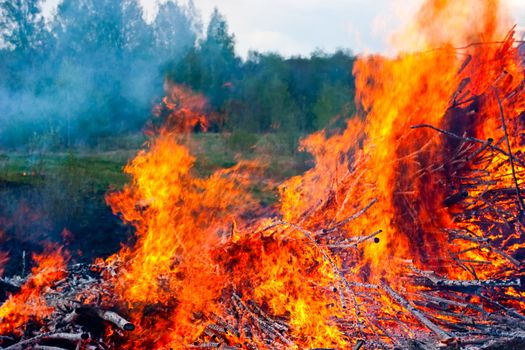 Raging fire of burning forest close-up