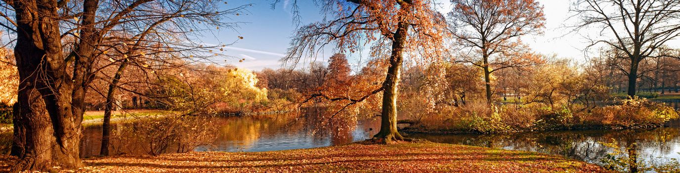 Autumnal park